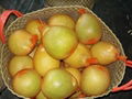 Fresh Pomelo Fruit 1