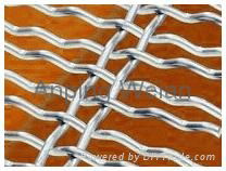 Crimped Wire Mesh,Crimped Wire Netting,Crimped Screen Mesh 3