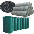 Galvanised Hexagonal Wire Netting 50M Roll     3