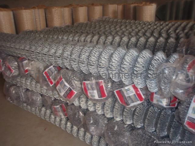 Hot Dipped Galvanized Chain link Fence,Chain Link Mesh 5