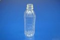 pla water bottle 1