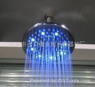 LED shower