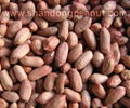 Peanut Kernels - Virginia type