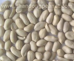 Blanched Peanut Kernels - Virginia type
