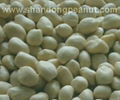 Blanched Peanut Kernels - Spanish type