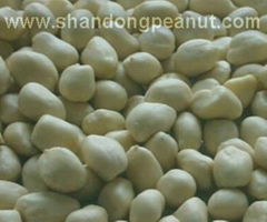 Blanched Peanut Kernels - Spanish type