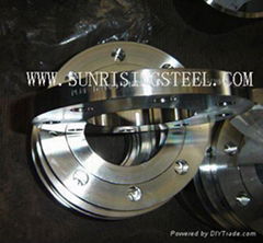 Sell Stainless flange ASTM A 182 F314L F310S F316L F54 F51 F44