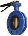 Butterfly valves 4