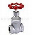 Globe valve 2