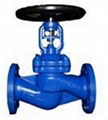 Globe valve 3