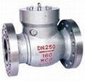 Check valve