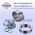 neodymium magnet 5