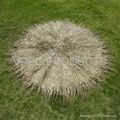 Tropical Real Palm Leaf Thatched Cover