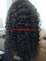 100% human hair wigs, full lace wigs