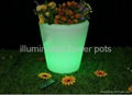 Illuminated Flower Pots 