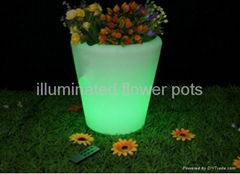 Illuminated Flower Pots 