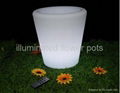 Illuminated Flower Pots  2