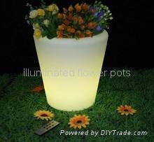 Illuminated Flower Pots  3