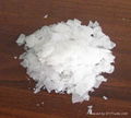 caustic soda flakes