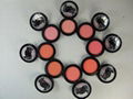 Free shipping MAC hello kitty blush 1