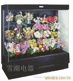 豪华鲜花柜 5