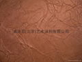 威洛尼砂岩石風化石肌理漆 3