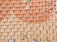 Stainless Steel Wire Netting