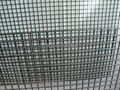 Welded Wire Mesh 1