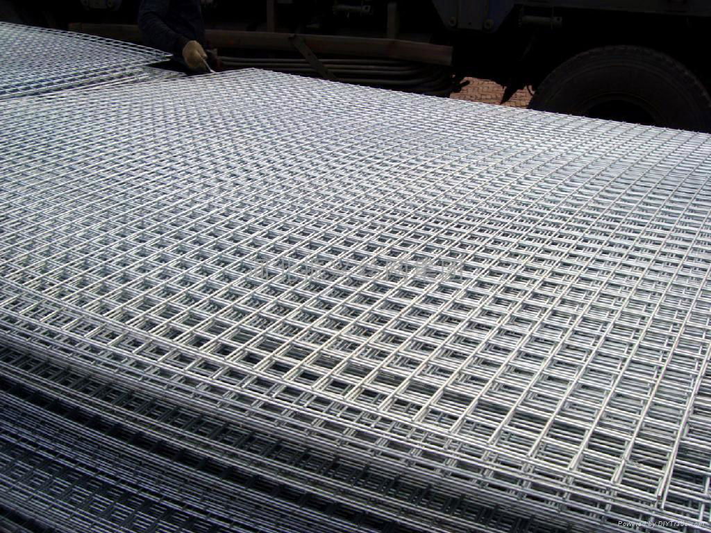 Welded Wire Mesh 2