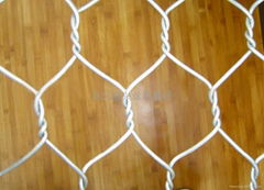 Hexagonal Wire Netting