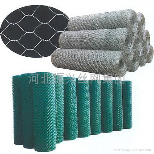 Hexagonal Wire Netting 2