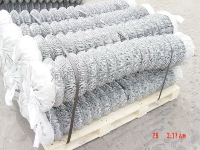 Hexagonal Wire Netting 3