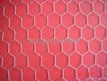 Hexagonal Wire Netting 5