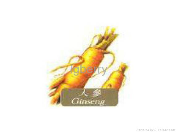 GENSING EXTRACT 2