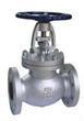 globe valve