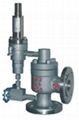 safety valve