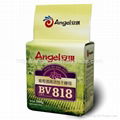Angel Wine Yeast SY for White Wine and Sparkling Wine 1
