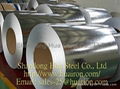 Galvanized Steel Coil 1