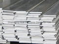 Stainless Steel Flat Bar