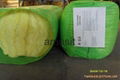 glass wool insulation 1