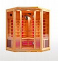 Ceramic heater infrared sauna room 5