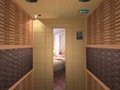 Tourmaline sauna /dry sauna room 1