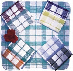 Dish Cloth