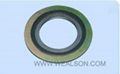 spiral wound gasket