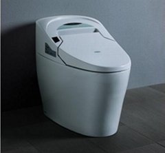 auto-intelligent toilet