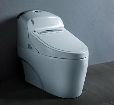 auto-intelligent toilet