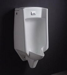 wall-hung urinal