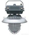 Functional Safety light (B) 1