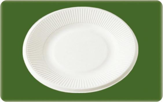 biodegradable bagasse disposable 6 inch paper plate