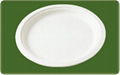 decomposable sugarcane 10 inch round plate 1